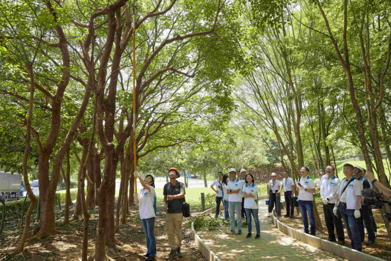 藝師教導(dǎo)大家認(rèn)識(shí)樹木、檢查樹的健康狀況，學(xué)習(xí)修枝及碎枝覆土
